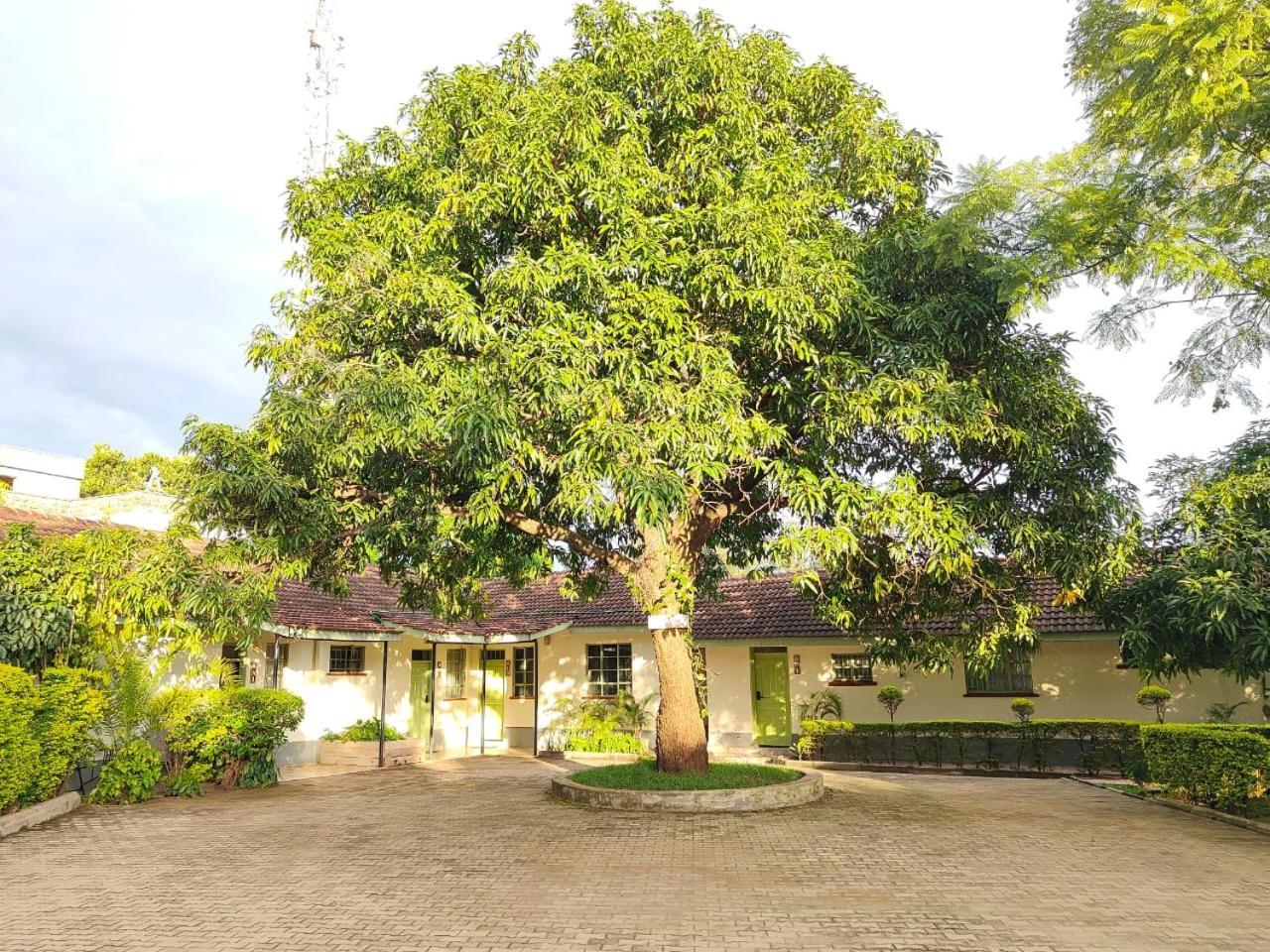 Milimani Drive Livings Apartamento Kisumu Exterior foto